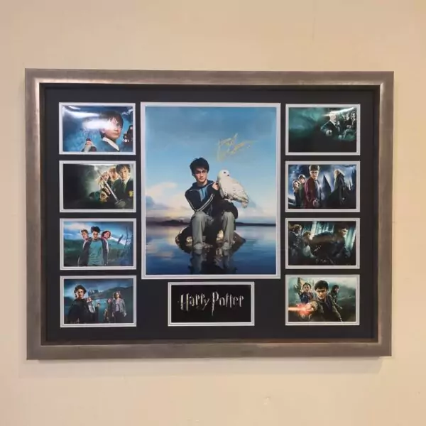 Daniel Radcliffe Signed Harry Potter Display
